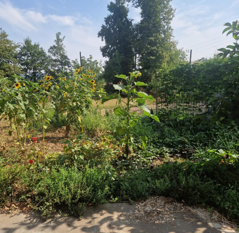 65ae5869-2dc7-4295-96d5-b826de60a9d4