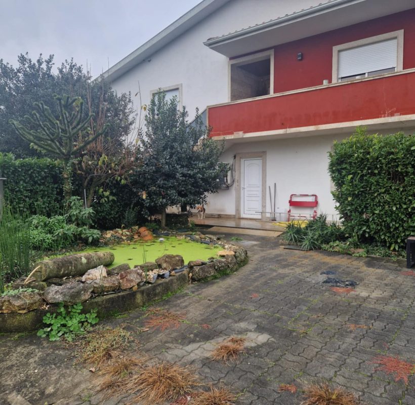 7e29a91a-5f21-4680-ace5-9033ae7f2211