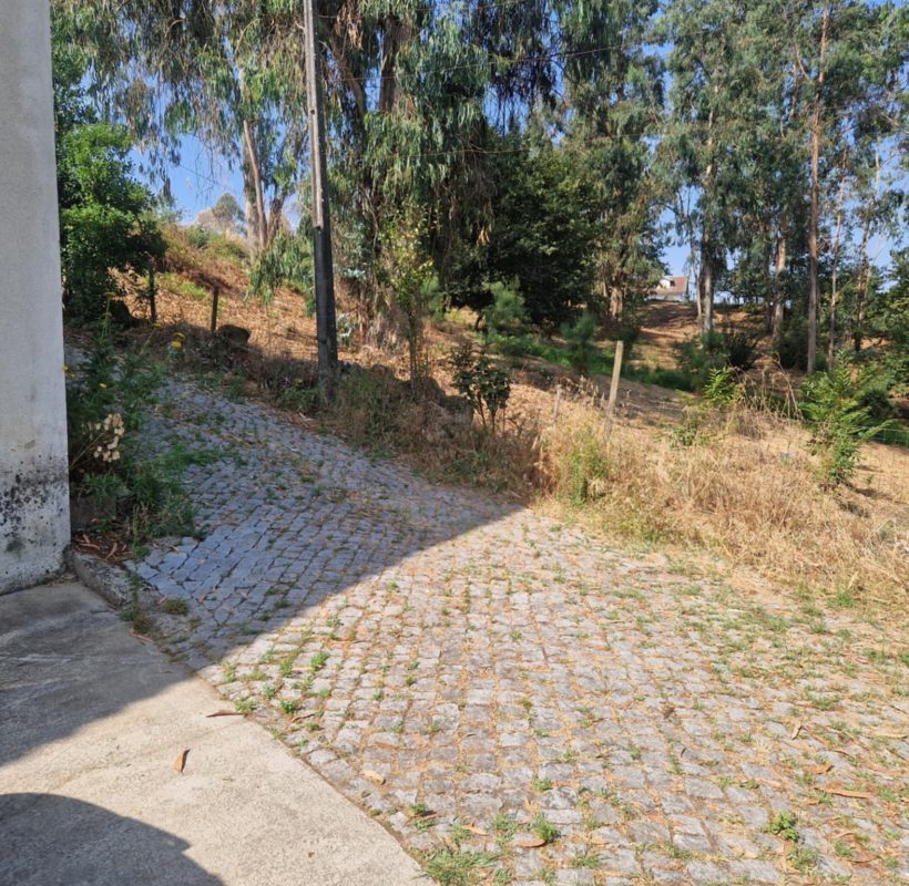 d3073d58-6751-4507-bfdb-dedd15be7e4d