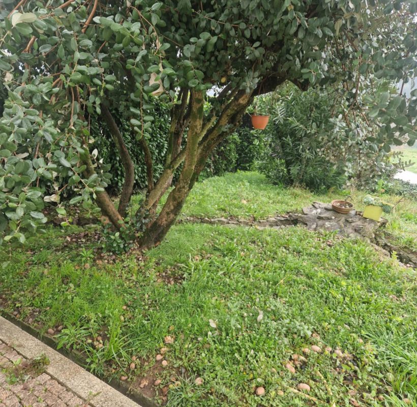 d7b87aa0-eb81-4cad-b4f7-5583a77e5a8e